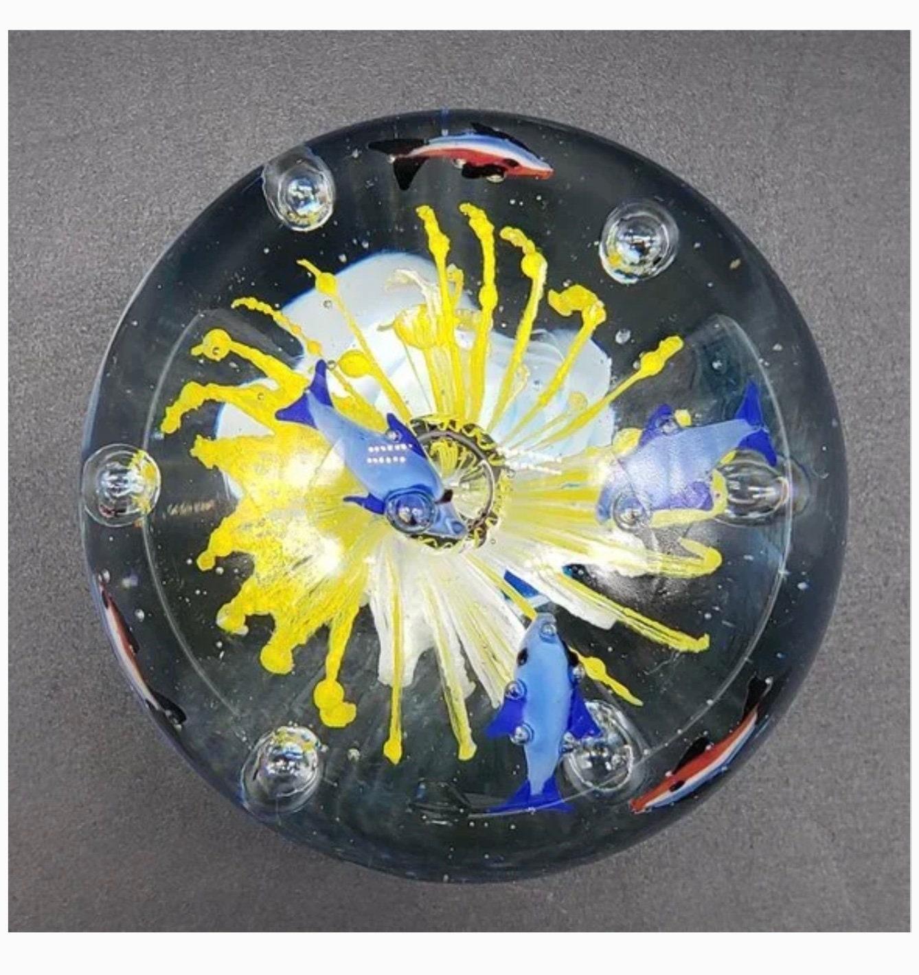 STUNNING Blue Striped Fish Yellow Flower Aquarium Large Bubbled Art Glass Paperweight