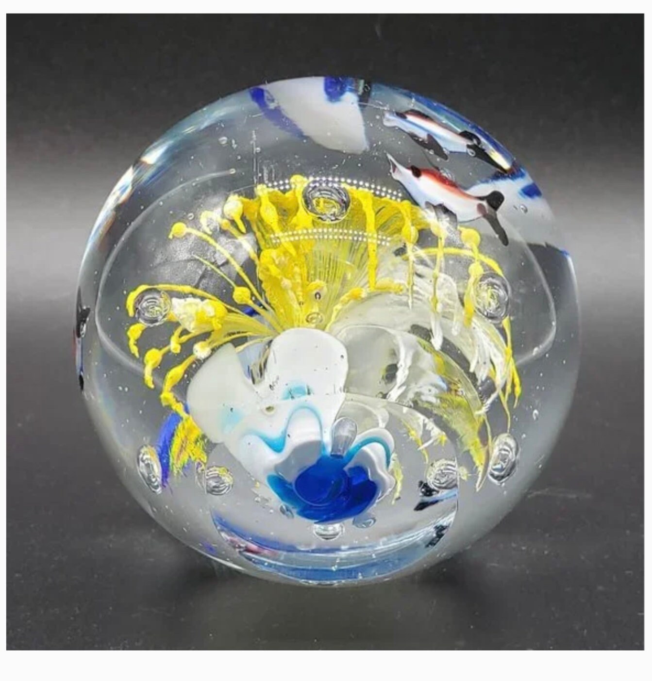 STUNNING Blue Striped Fish Yellow Flower Aquarium Large Bubbled Art Glass Paperweight