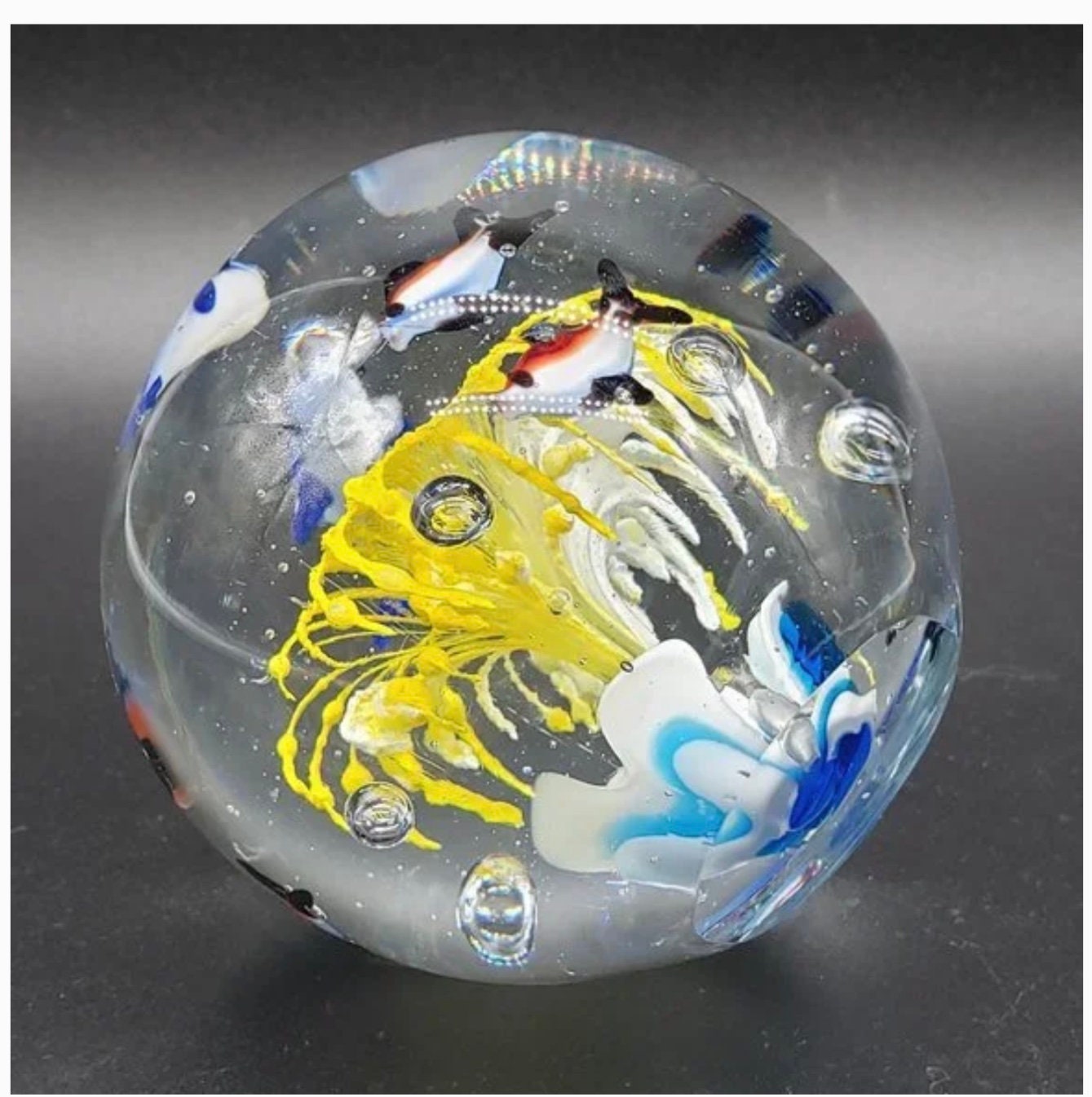 STUNNING Blue Striped Fish Yellow Flower Aquarium Large Bubbled Art Glass Paperweight